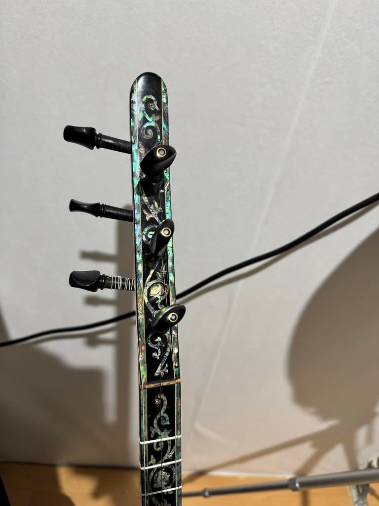 Professionele elektrische saz met parelmoer inleg, Ophalen, Zo goed als nieuw, Luit, Saz of Bouzouki
