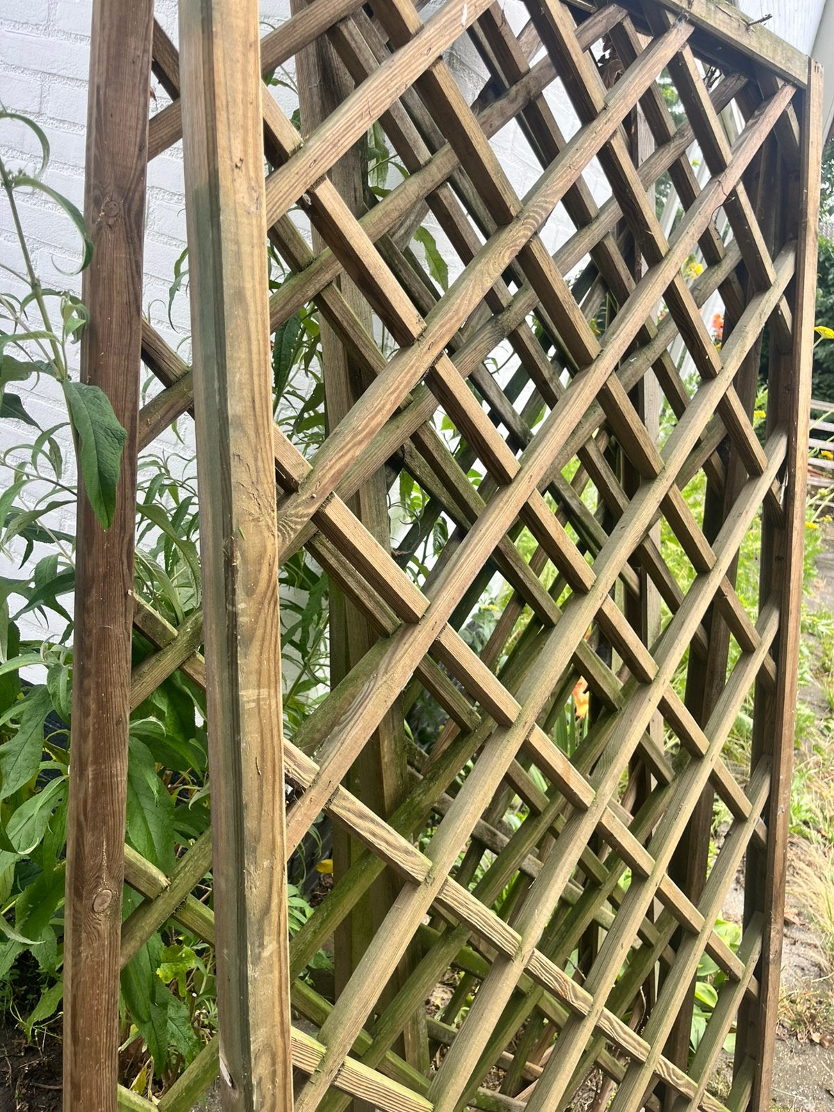 2 stuks klimrek voor planten, Ophalen, Gebruikt, Hout, 200 cm of meer