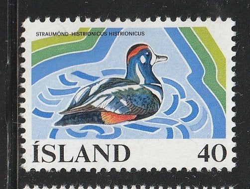 Verenigd Europa 1977 - IJsland - Kraageend, Ophalen, Postfris, Overige thema's