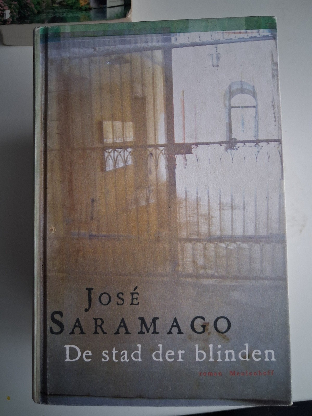 De stad der blinden, Ophalen of Verzenden, Gelezen