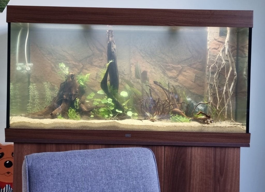 Aquarium Juwel Rio 350, Ophalen, Gebruikt, Leeg aquarium, Verwarming