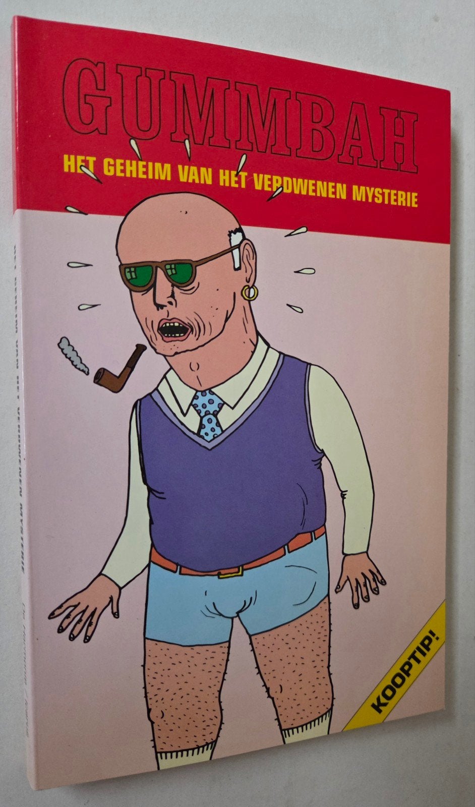 GUMMBAH - Het Geheim van het Verdwenen Mysterie (1999), Boeken, Ophalen of Verzenden, Zo goed als nieuw, GUMMBAH, Nederland