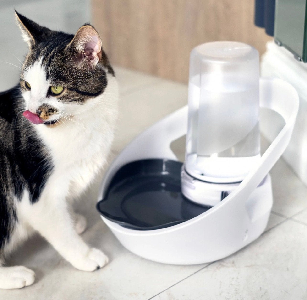 Felaqua + hub (nieuw in de doos), Dieren en Toebehoren, Katten-accessoires, Ophalen of Verzenden, Nieuw