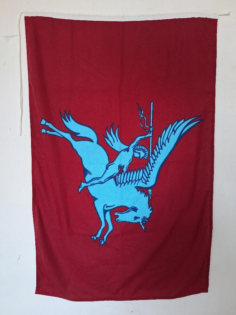 Airborne vlag met Pegasus embleem, Ophalen of Verzenden, Zo goed als nieuw