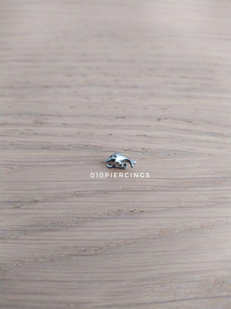 Nieuwe micro dermal. Dolfijntje., Ophalen of Verzenden, Nieuw, Staal
