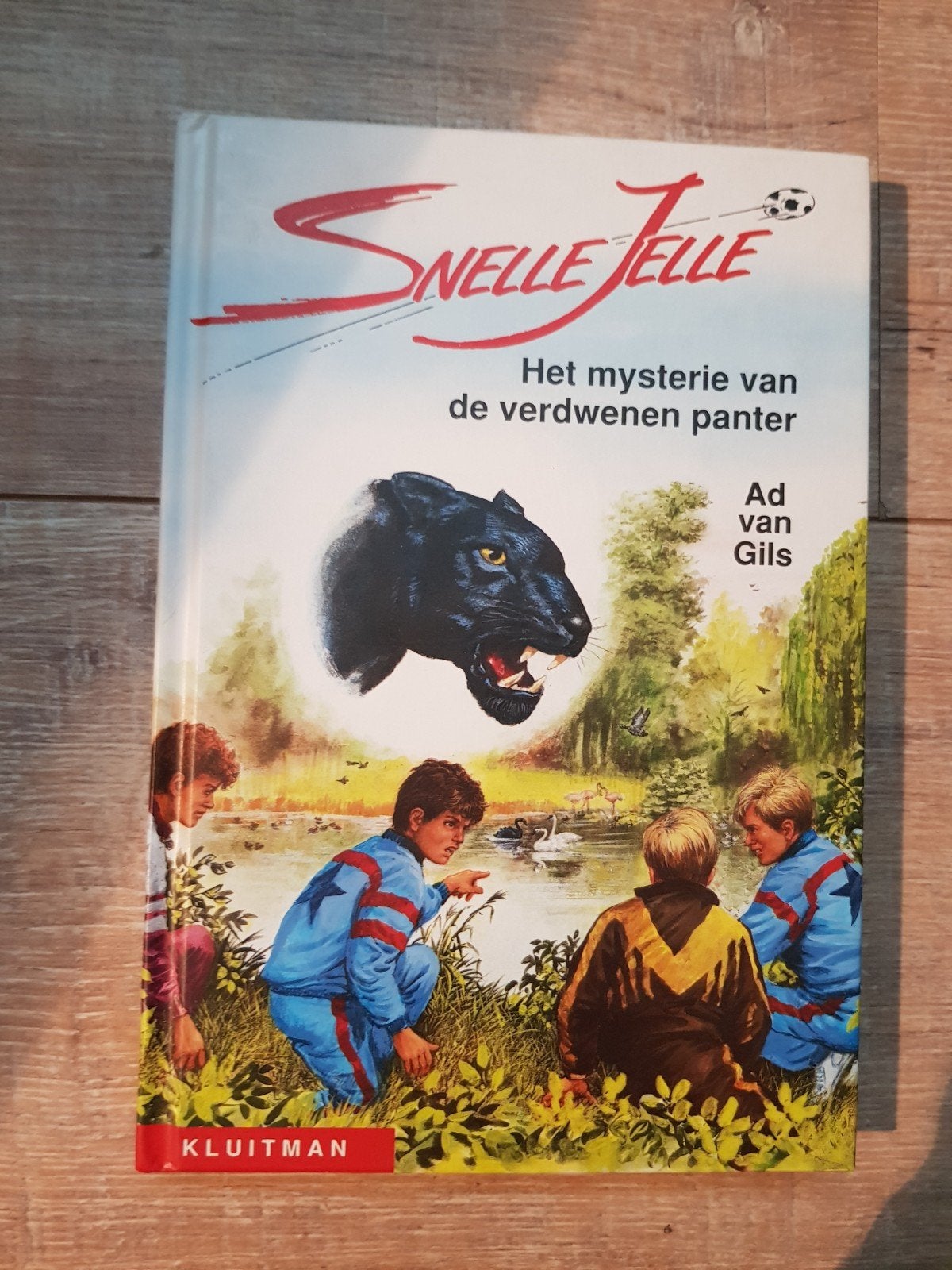 Snelle Jelle: Het mysterie van de verdwenen panter, Ophalen of Verzenden, Gelezen, Ad van Gils, Fictie algemeen