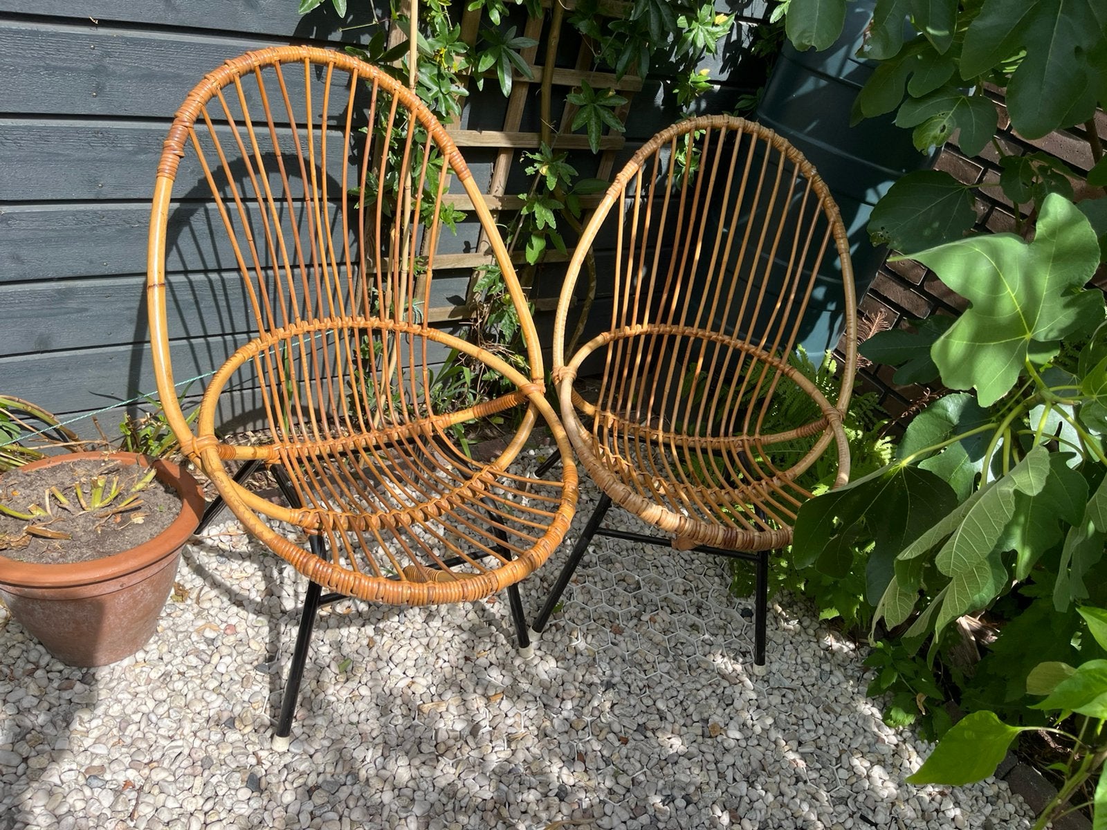 Rotan retro vintage kuipstoel, Tuin en Terras, Tuinstoelen, Ophalen, Zo goed als nieuw, Rotan