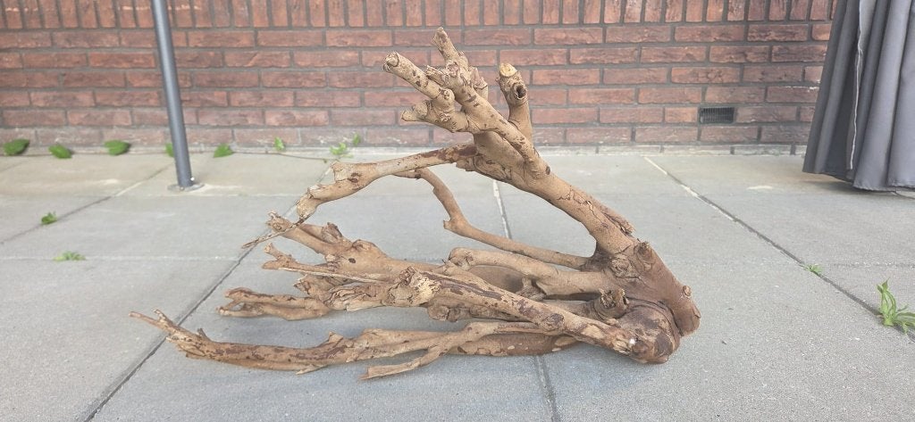 Talawa hout voor aquarium, Ophalen, Zo goed als nieuw, Plant(en), Steen of Hout, Overige merken