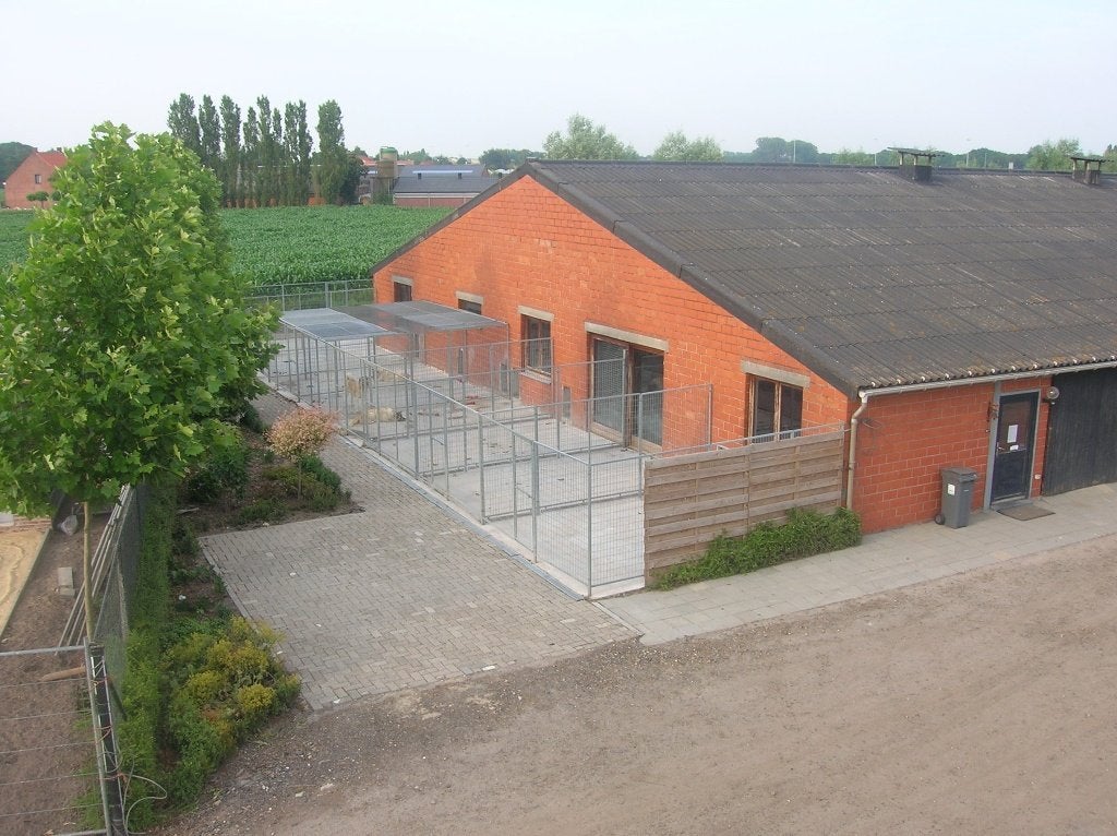 hondenpension en kattenpension, Trimmen of Verzorging