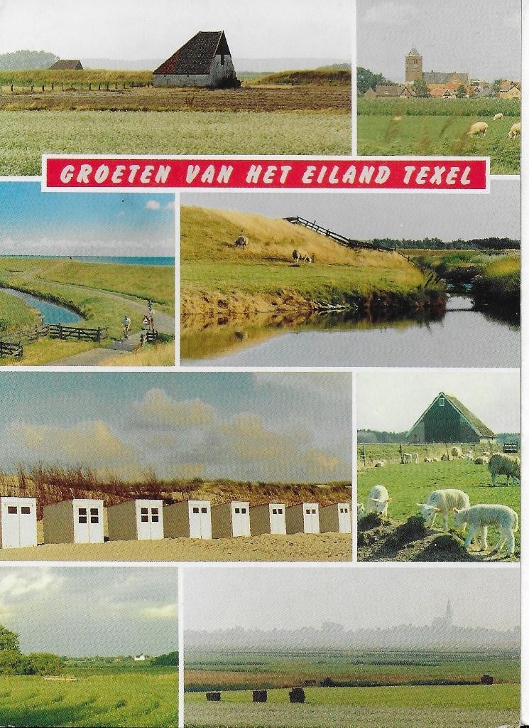 D25x Gelopen Ansichtkaart Het eiland Texel, Ophalen of Verzenden, 1980 tot heden, Gelopen, Waddeneilanden