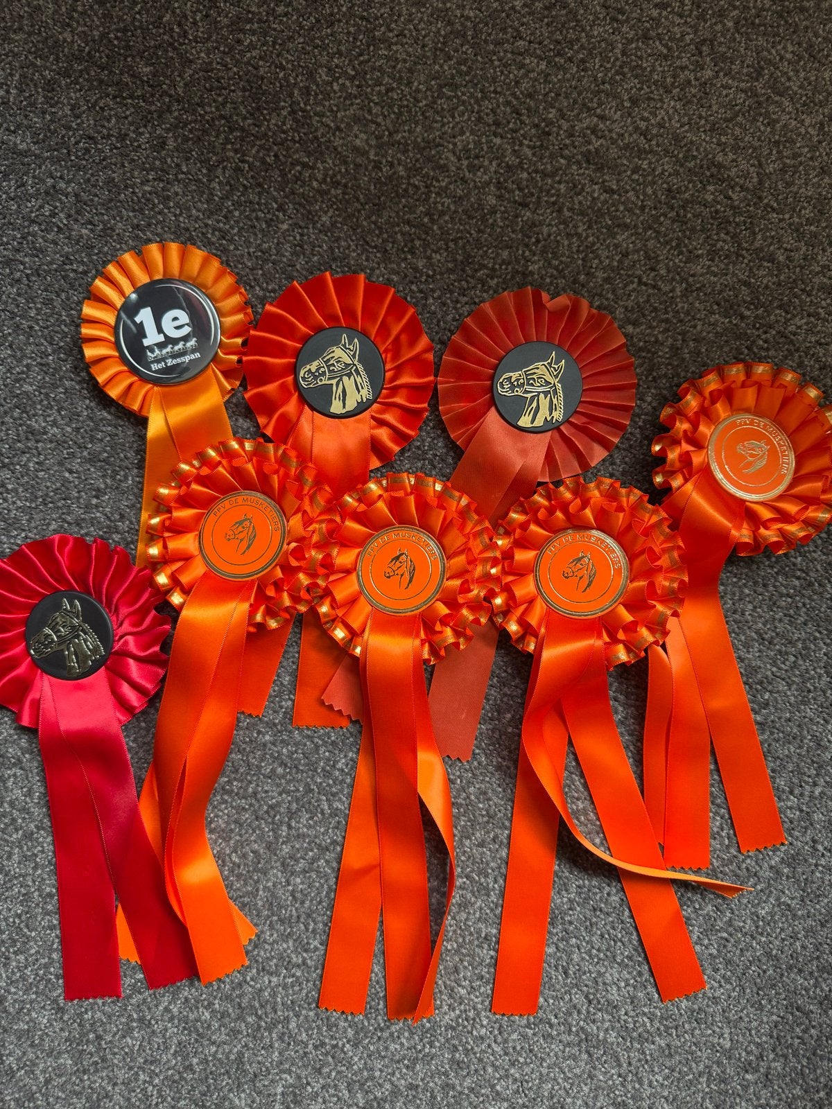 Rozetten paardensport 8x, Ophalen of Verzenden, Zo goed als nieuw, Dressuur