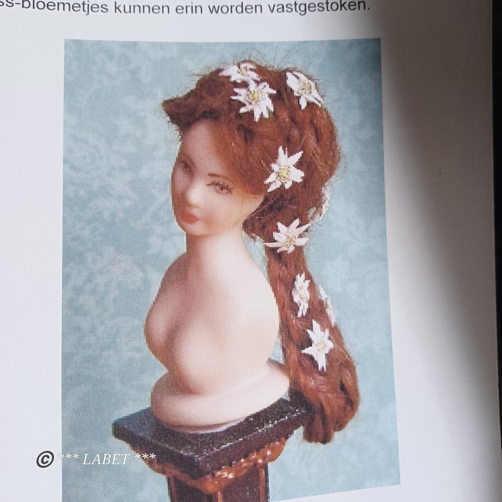 Sissi pruikje en veeel meer, om zelf te maken., Verzamelen, Verzenden, Poppenhuis