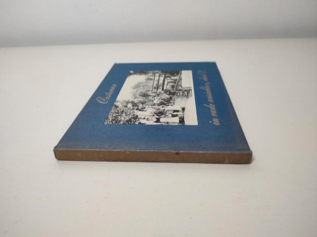 Oostzaan in oude ansichten deel 2, Boeken, Ophalen of Verzenden, J. de Boer, 20e eeuw of later, Gelezen