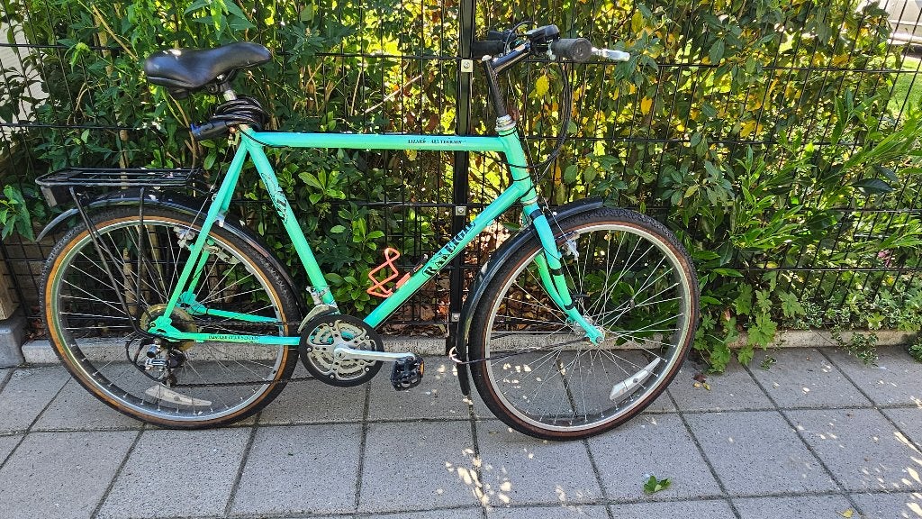 Raleigh Lizard allterrain mountainbike, Ophalen, Gebruikt, Heren, Overige merken