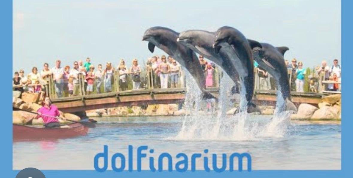 3 kaartjes dolfinarium, Tickets en Kaartjes, Drie personen of meer, Ticket of Toegangskaart