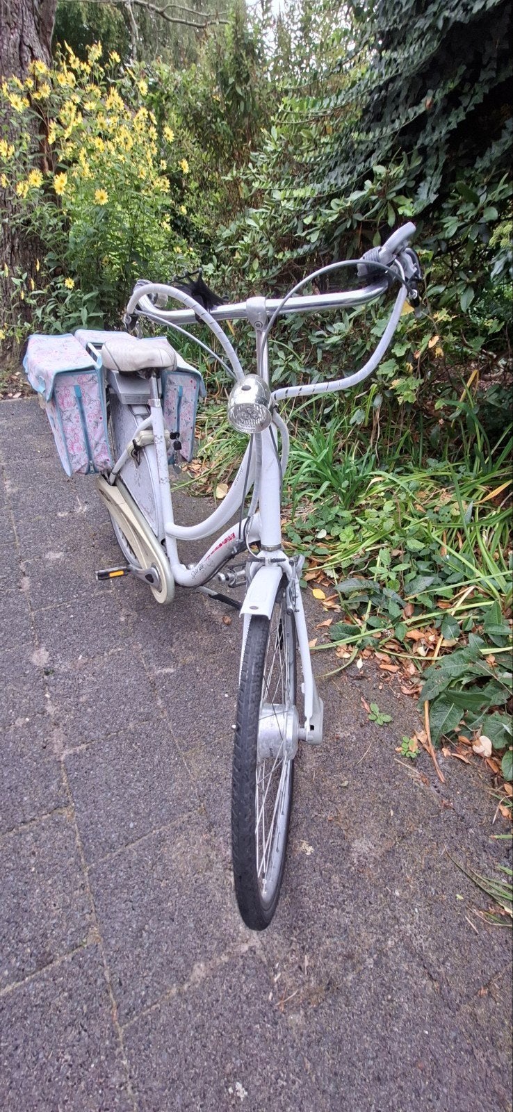 Foto 4 van Elektrische damesfiets met lage instap