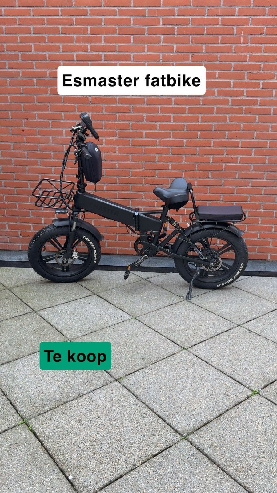 Esmaster fatbike | 750watt | 55km, Zo goed als nieuw, 59 cm of meer, 50 km per accu of meer, Ophalen