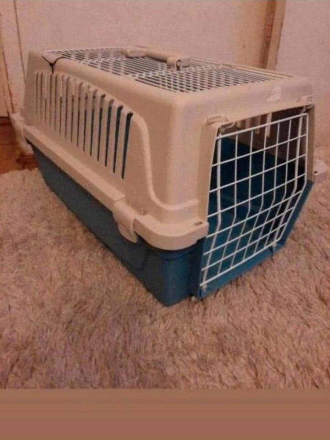 Te koop, Poes/katten kooi/Bak., Ophalen