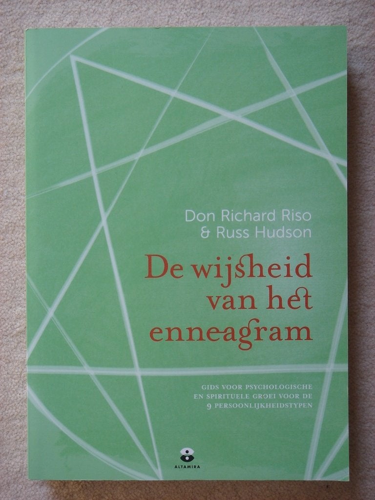 De wijsheid van het enneagram - Don Richard-Riso/Russ Hudson, Ophalen of Verzenden, Gelezen