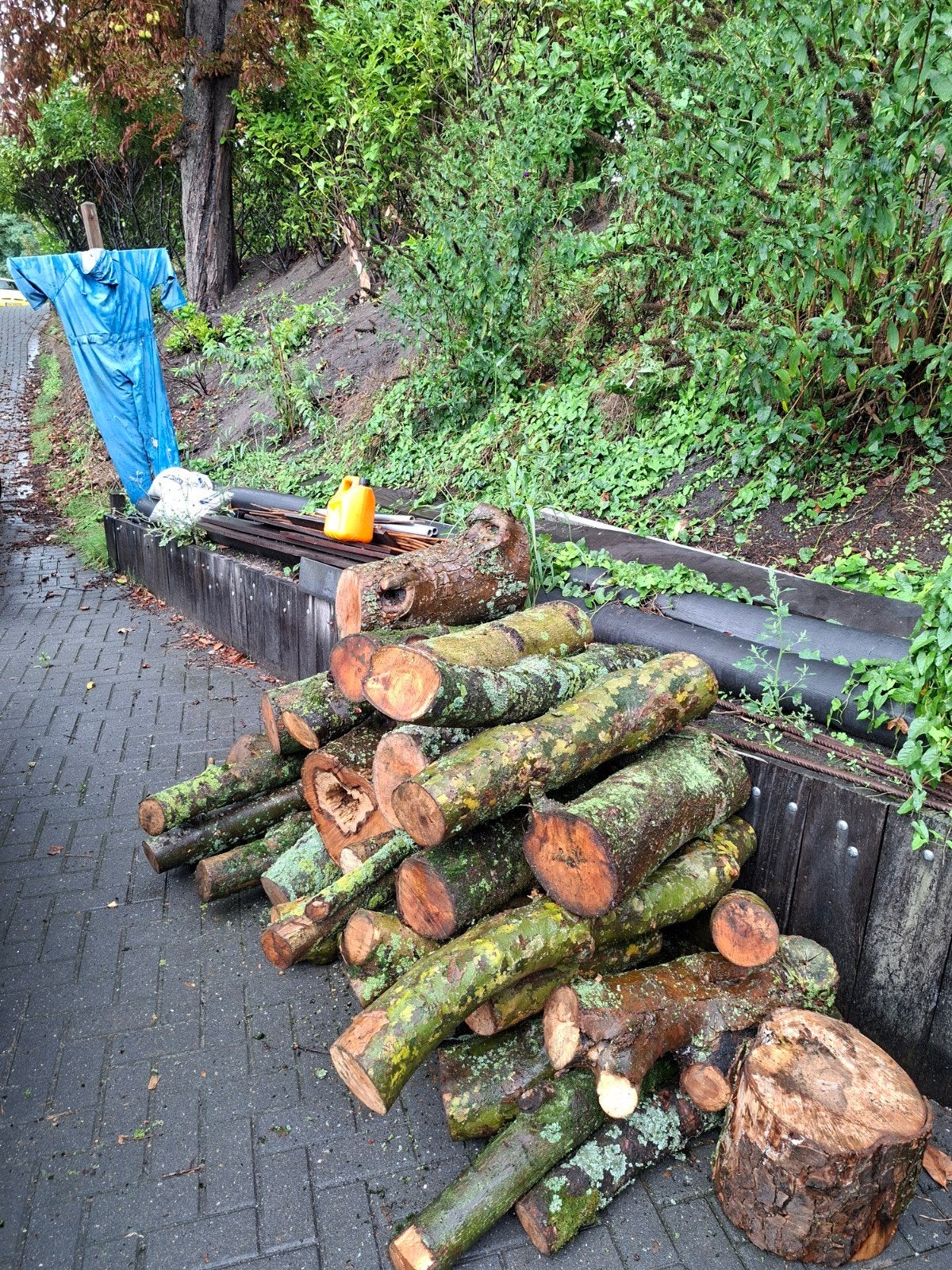 openhaardhout hard es, esdoorn, plataan, prunus, Minder dan 3 m³, Ophalen