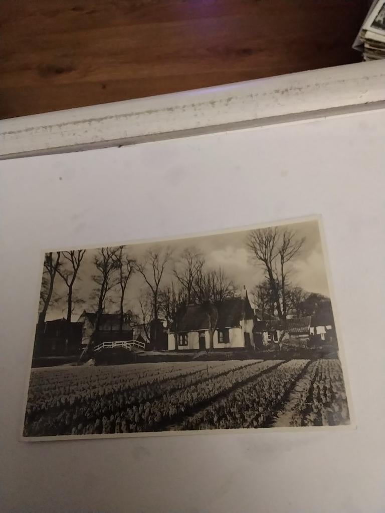 LISSE. BLOEMBOLLENVELDEN, Ophalen of Verzenden, Voor 1920, Zuid-Holland