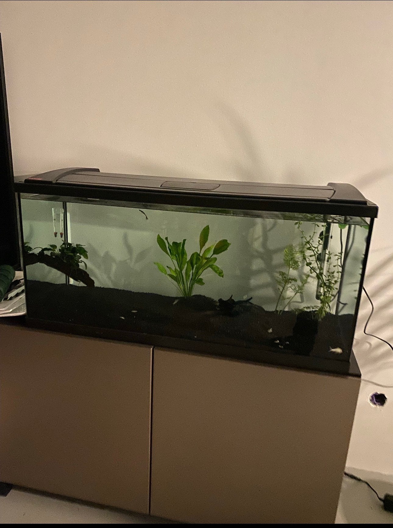 Aquarium Eheim 180l, Ophalen, Zo goed als nieuw, Leeg aquarium