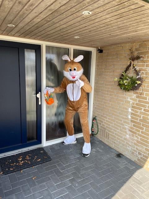 Pasen nog snel een paashaas kostuum pak huren? Bruin of roze, Ophalen of Verzenden, Zo goed als nieuw, Pasen