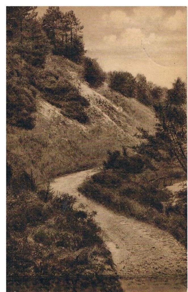 De klimweg tusschen Bergen en Schoorl, Ophalen of Verzenden, 1920 tot 1940, Gelopen, Noord-Holland