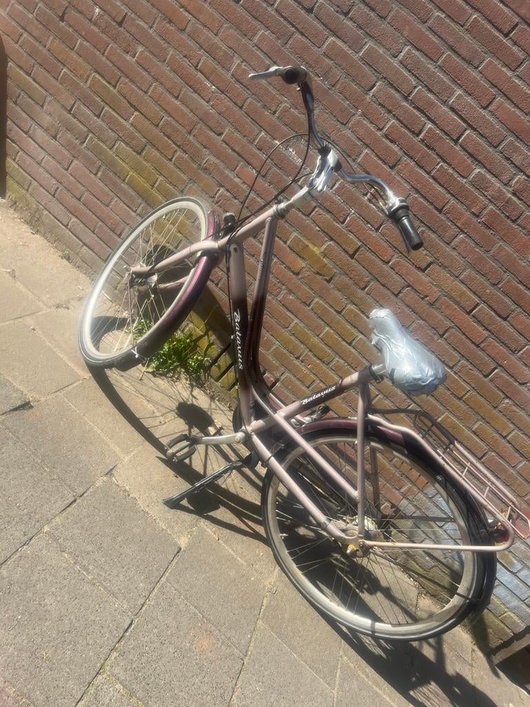 Mooie batavius fiets, Fietsen en Brommers, Fietsen | Oldtimers, Ophalen