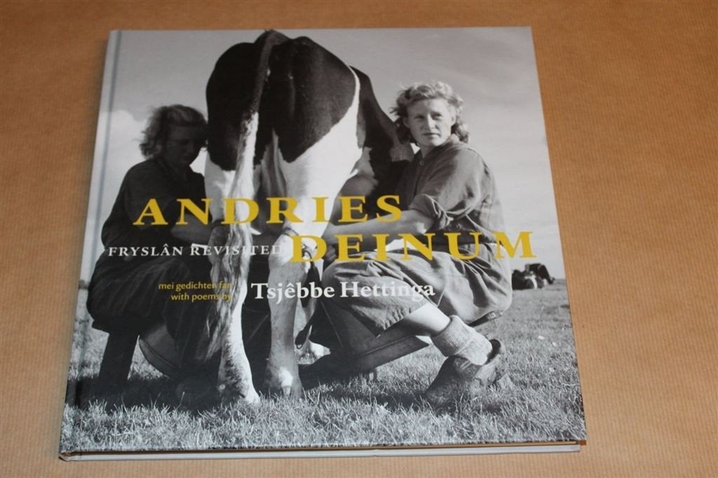 Andries Deinum — Fryslân Revisited — Foto\'s & Gedichten, Ophalen of Verzenden, Zo goed als nieuw