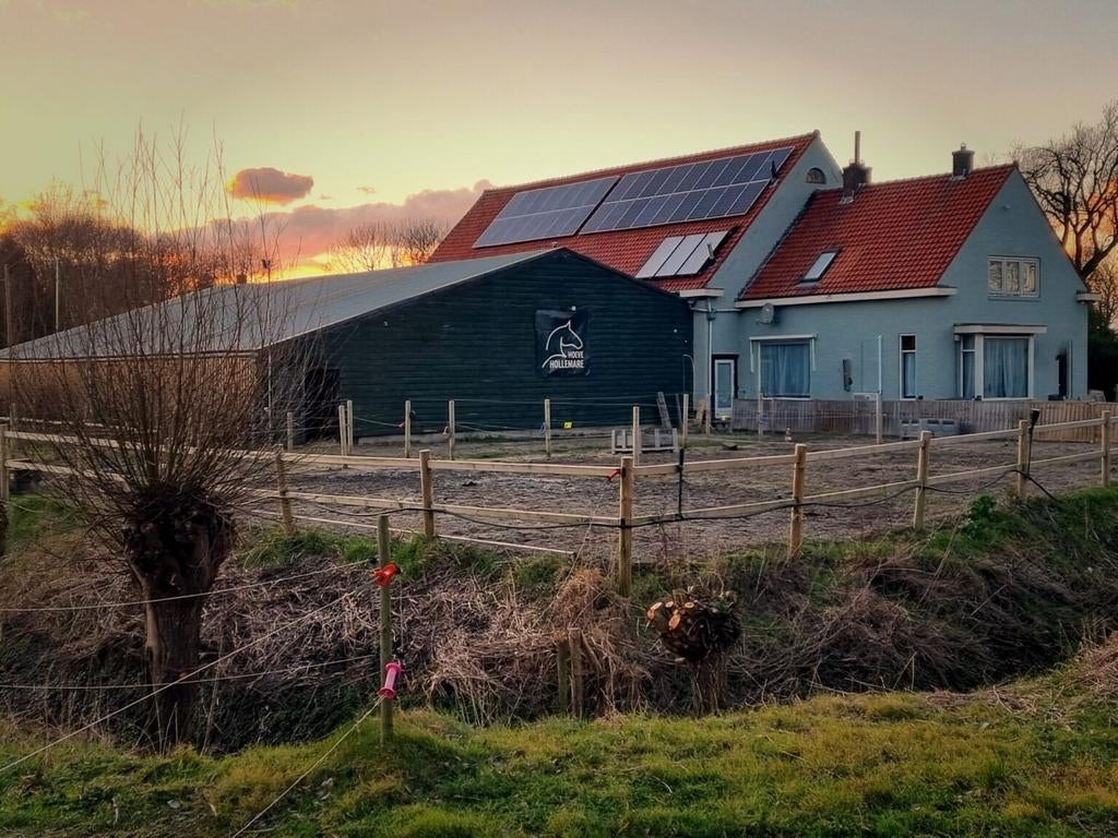 Stalruimte beschikbaar per 1 mei bij Hoeve Hollemare, Dieren en Toebehoren, Weidegang