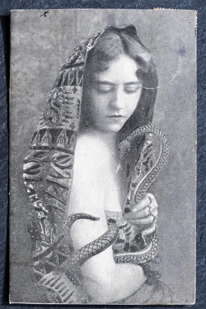 De dame durft de slang op haar arm te nemen, 1911, Verzenden, Voor 1920, Gelopen, Wild dier