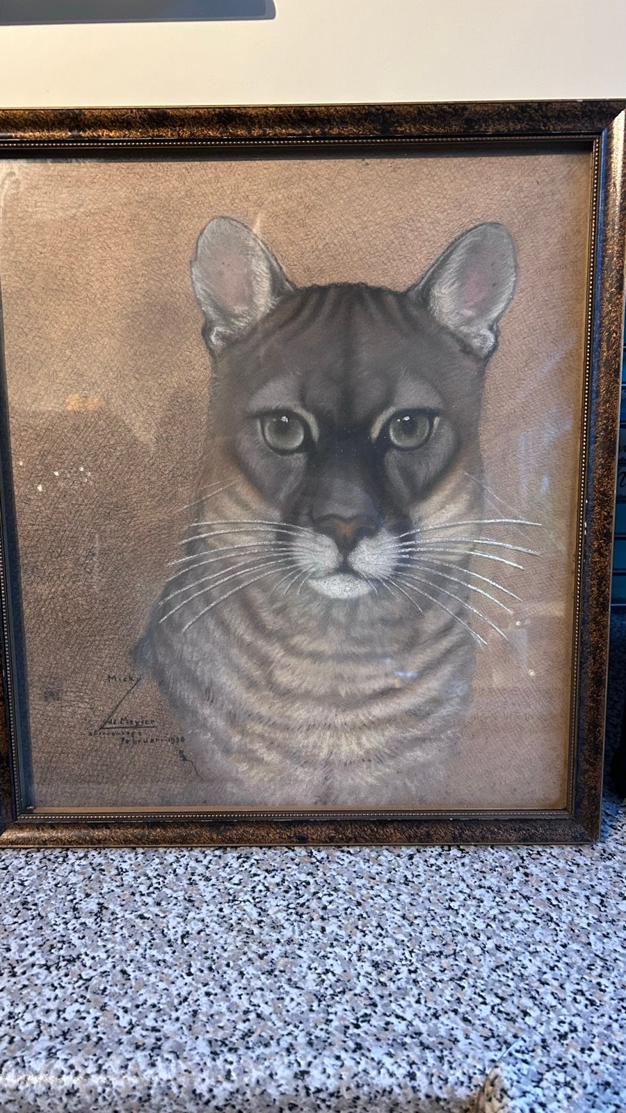 Vintage tekening van een poema, gesigneerd en gedateerd, Gedateerd, Realistisch, Dieren, Ophalen of Verzenden