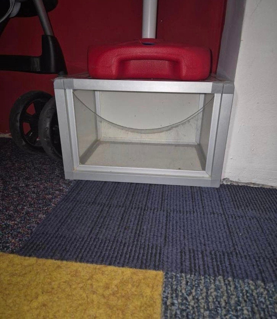 Groot zandbad voor chinchilla's / degoes, Dieren en Toebehoren, Ophalen, 110 cm of meer, Chinchilla, 90 cm of meer
