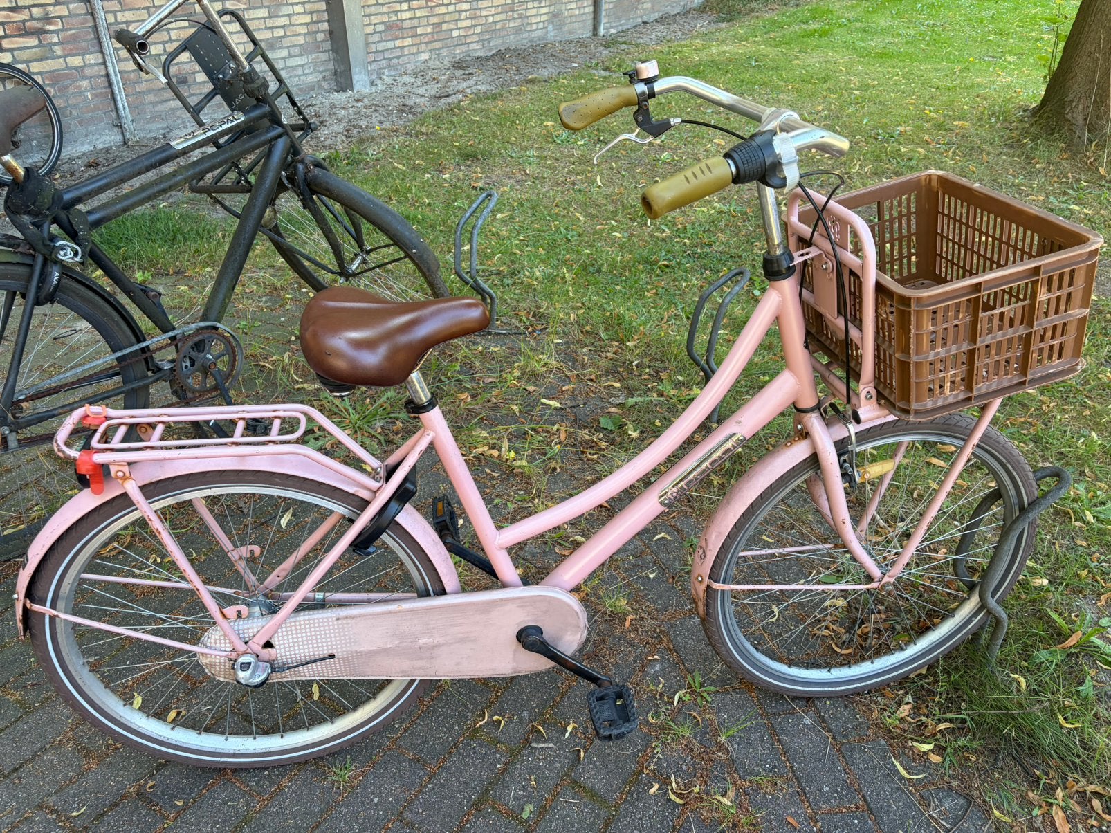 Popal kinderfiets 26 inch - Roze, Ophalen, Gebruikt, Terugtraprem, 20 inch of meer