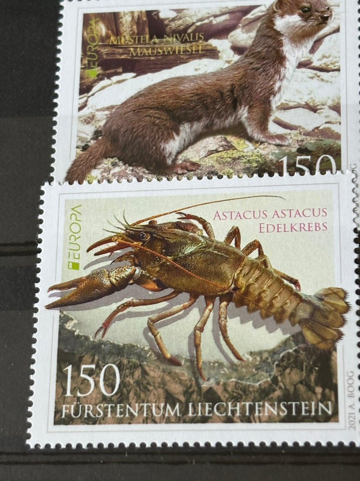 Liechtenstein 2021 Verenigd Europa, Ophalen of Verzenden, Overige landen, Postfris