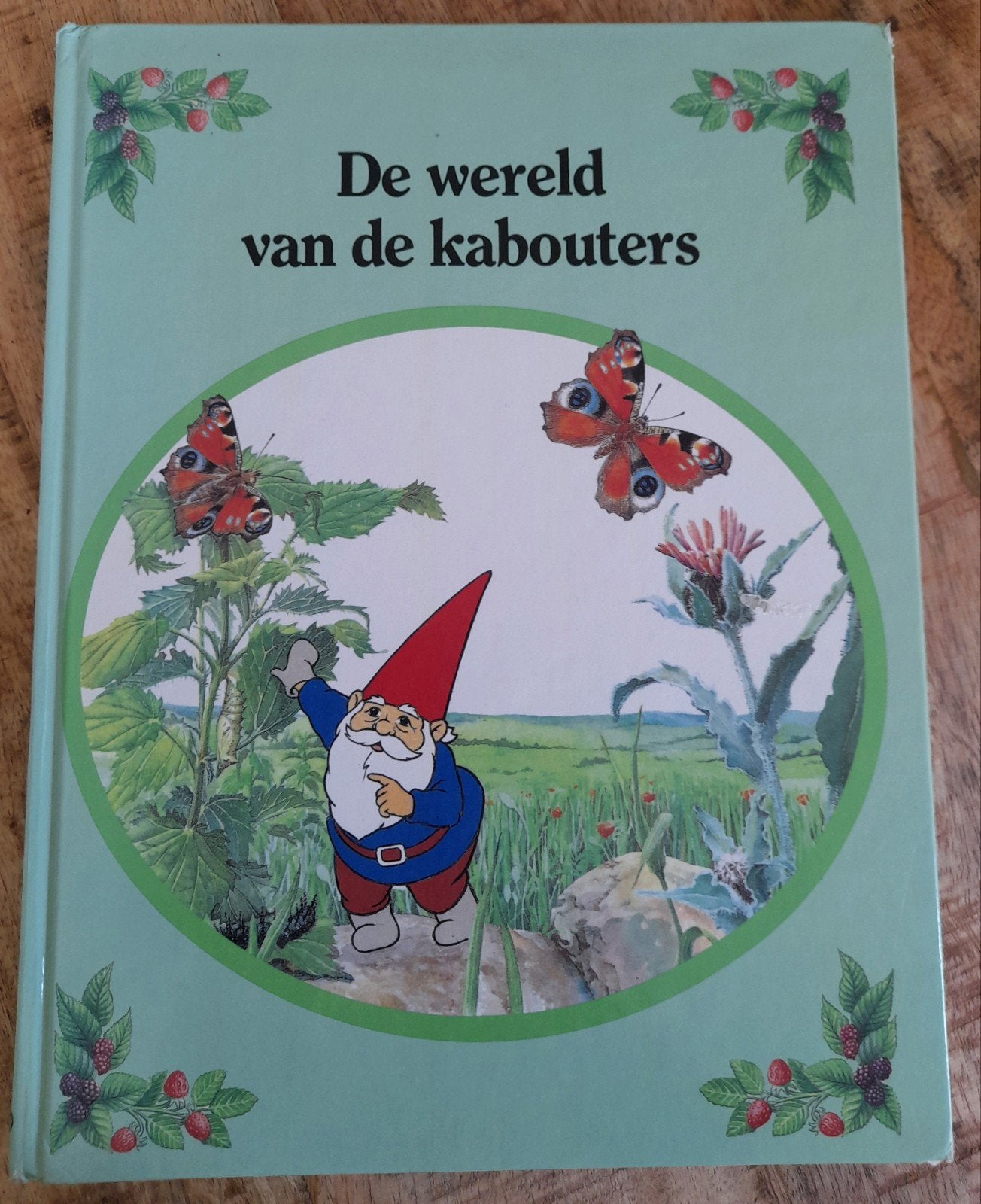Rien Poortvliet  - De wereld van de Kabouters, Ophalen of Verzenden, Rien Poortvliet & Wil Huygen