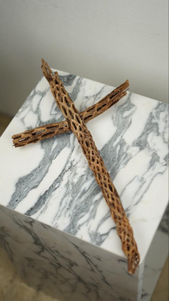 Cholla kruis decoratie, Amfibie, 0 tot 2 jaar