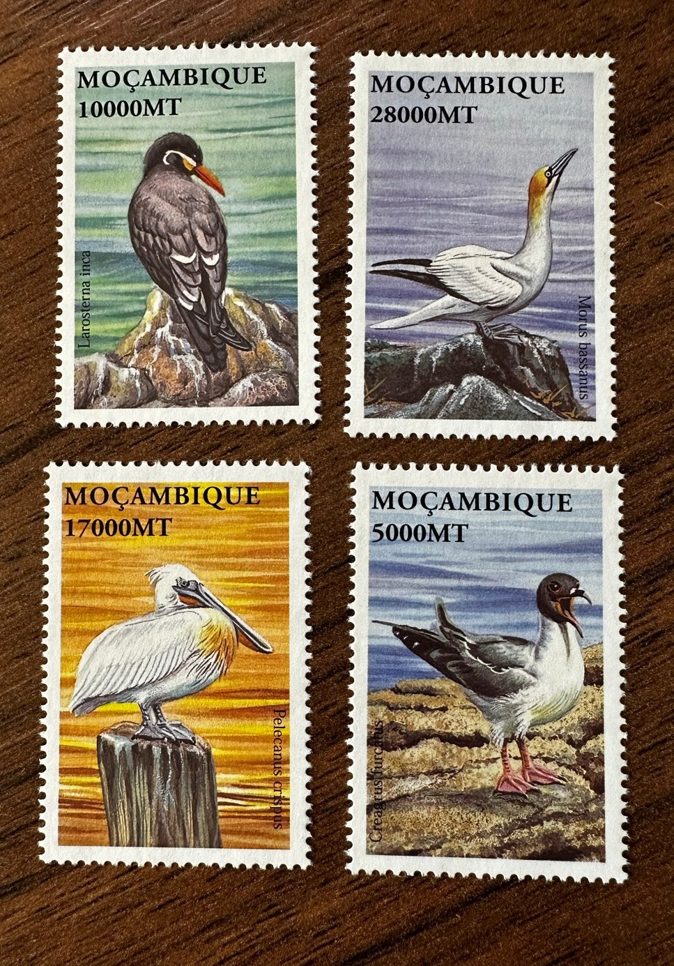 Mozambique 2002 - Vogels postfris set, Ophalen of Verzenden, Overige landen, Postfris