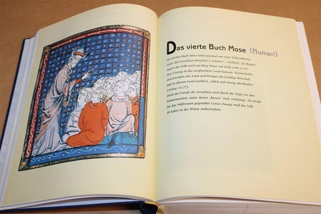 De Geïllustreerde Bijbel — Prachtige Duitse Editie [912 p.], Ophalen of Verzenden, Gelezen