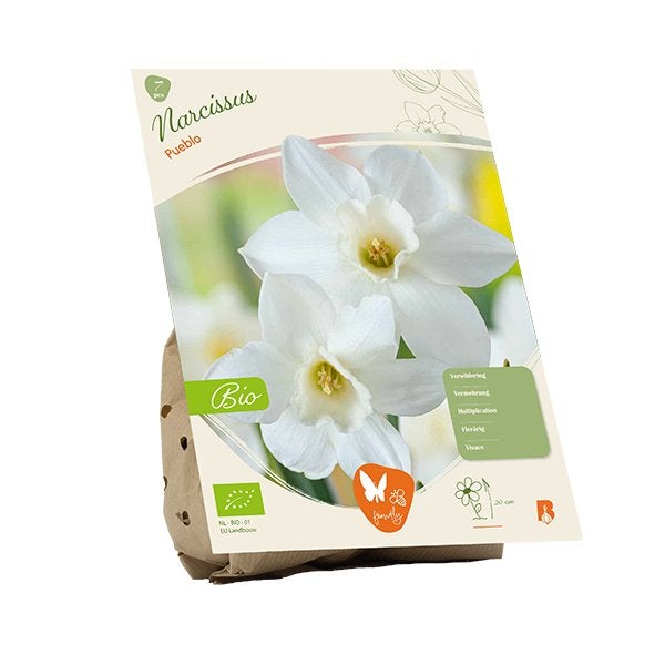 Narcis (Narcissus Pueblo) BIOLOGISCH, Ophalen of Verzenden, Najaar, Volle zon, Bloembol