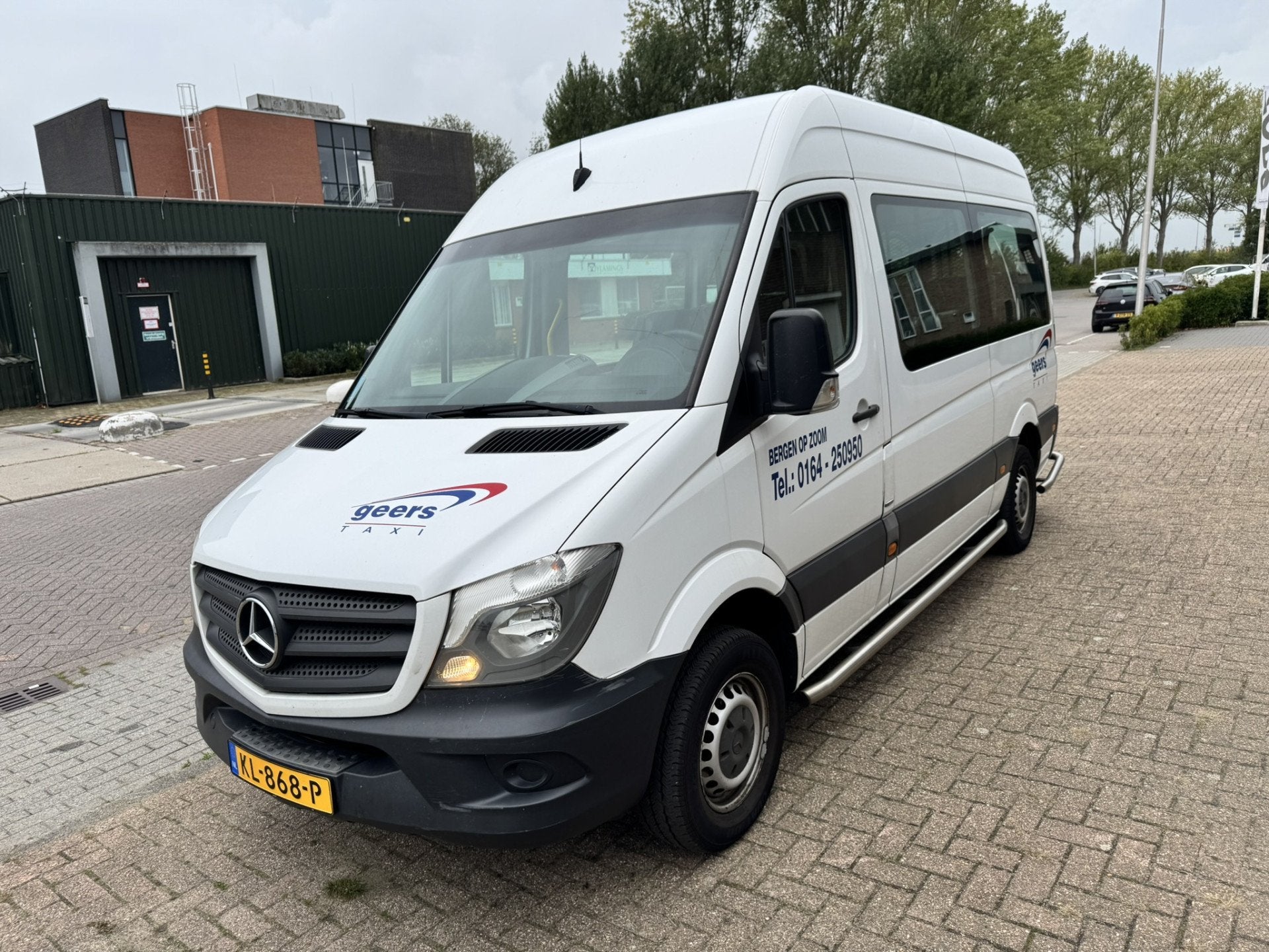 Mercedes-Benz Sprinter 313 2.2 BlueTEC 366*9-Persoons*Rolsto, Automaat, Gebruikt, 2000 kg, Wit
