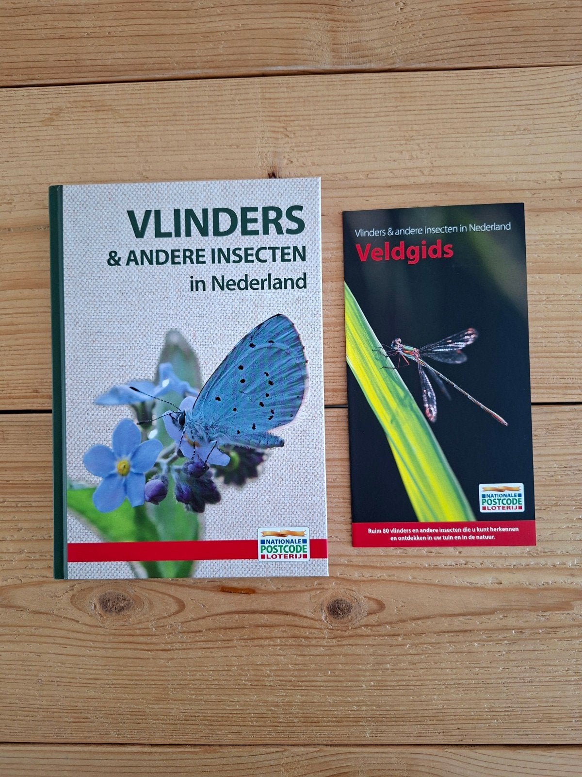 Vlinders & Andere Insecten in Nederland + Veldgids - Nieuw, Boeken, Paul Sterry, Andrew Mackay & George C. McGavin, Nieuw, Ophalen of Verzenden
