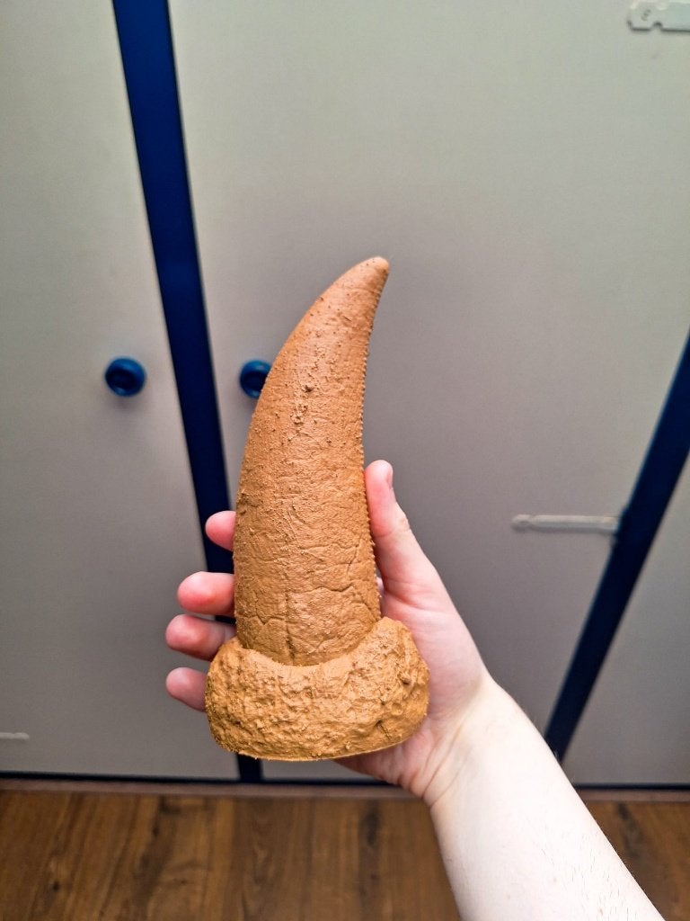 XXL realistische replica T-Rex Tand – 20 cm Hoog, Verzenden, Fossiel
