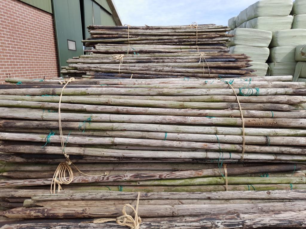 Houten palen, 7-8 cm dik en 3 meter lang met punt, Tuin en Terras, Ophalen, 250 cm of meer, Palen