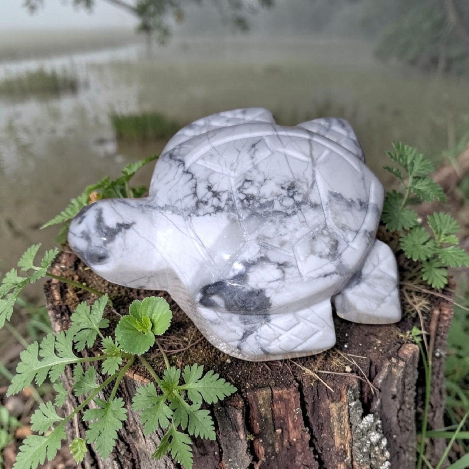 Howliet schildpad, Ophalen of Verzenden, Mineraal