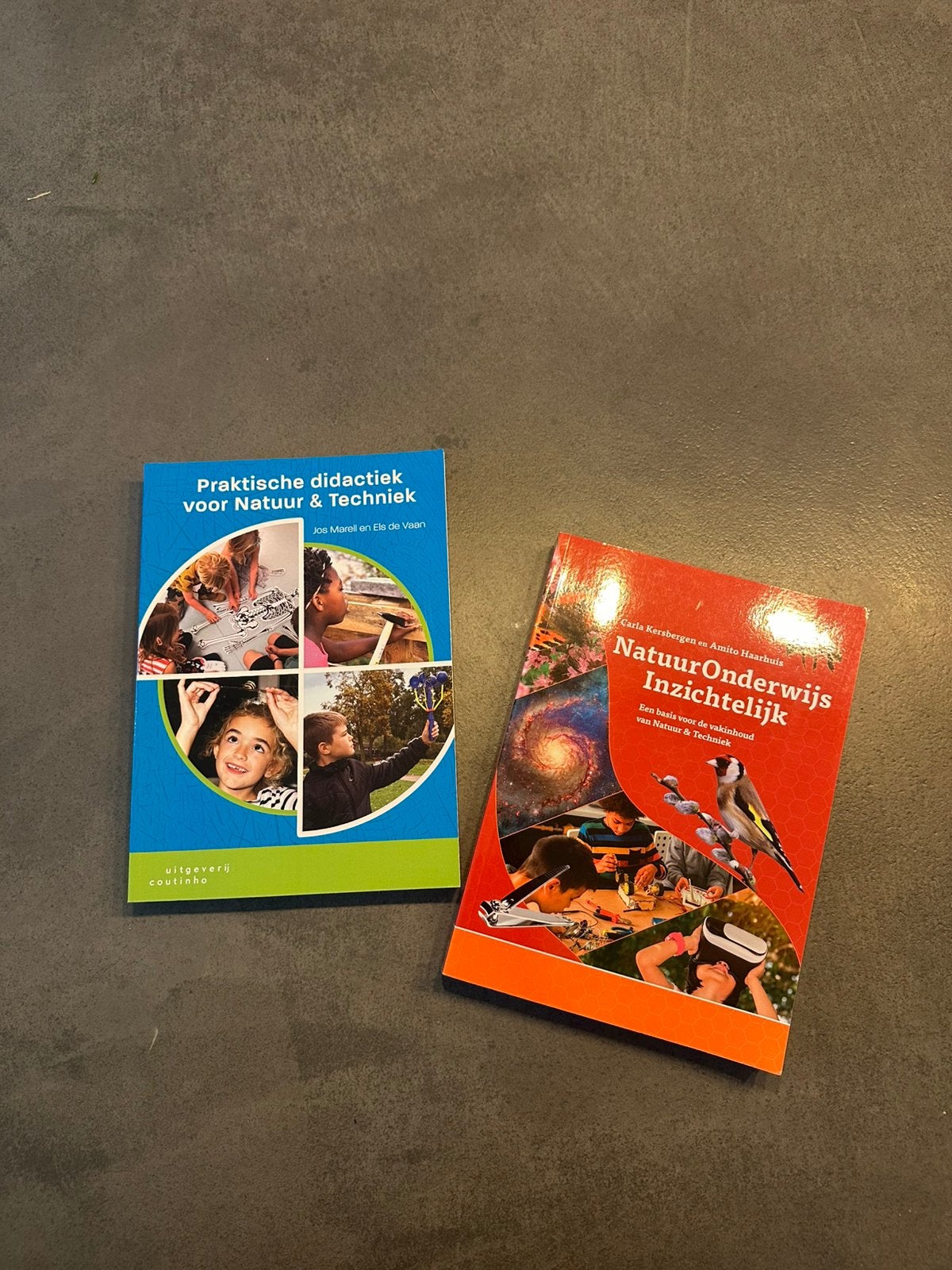 Schoolboeken Pabo, Boeken, Ophalen of Verzenden, Alpha, Zo goed als nieuw, HBO