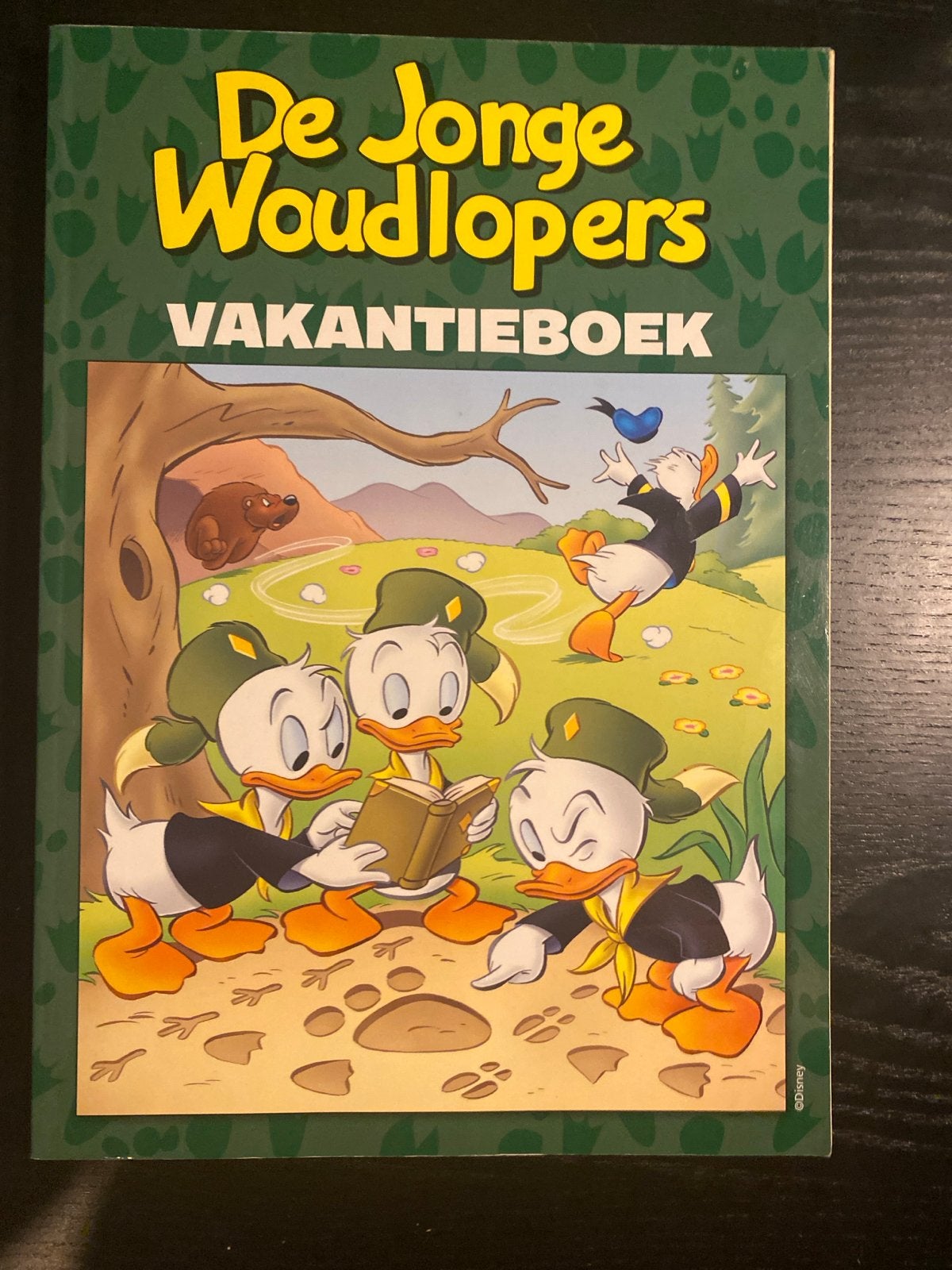 De Jonge Woudlopers Vakantieboek - Disney Stripboek, Boeken, Eén stripboek, Ophalen of Verzenden, Zo goed als nieuw