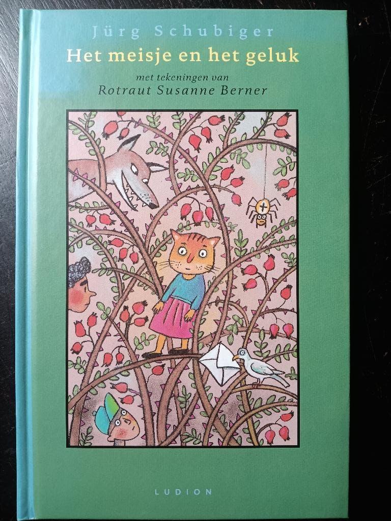 Het meisje en het geluk, Boeken, Kinderboeken | Jeugd | 10 tot 12 jaar, Zo goed als nieuw, Ophalen of Verzenden
