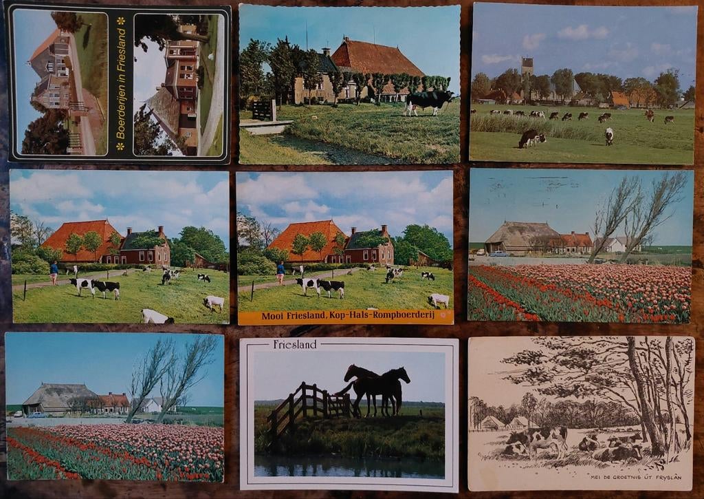 9 ansichtkaarten Mooi Friesland, boerderijen en, Ophalen of Verzenden, Friesland